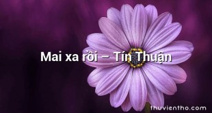 Mai xa rồi – Tín Thuận