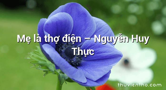 Mẹ là thợ điện – Nguyễn Huy Thực