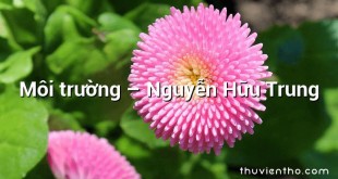 Môi trường – Nguyễn Hữu Trung