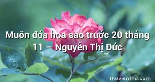 Muôn đóa hoa sao trước 20 tháng 11 – Nguyễn Thị Đức