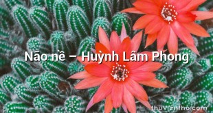 Não nề – Huỳnh Lâm Phong