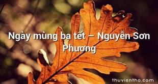 Ngày mùng ba tết – Nguyễn Sơn Phương