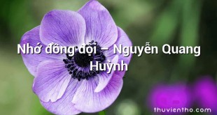 Nhớ đồng đội – Nguyễn Quang Huỳnh