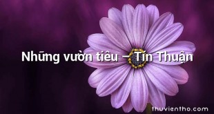 Những vườn tiêu – Tín Thuận