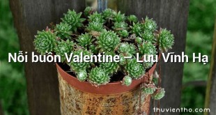 Nỗi buồn Valentine – Lưu Vĩnh Hạ