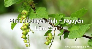 Phải vía duyên tình – Nguyễn Lâm Cẩn