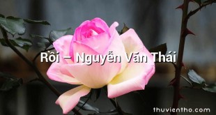 Rồi – Nguyễn Văn Thái