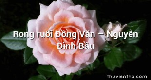 Rong ruổi Đồng Văn – Nguyễn Đình Bầu