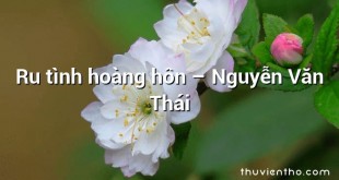 Ru tình hoàng hôn – Nguyễn Văn Thái