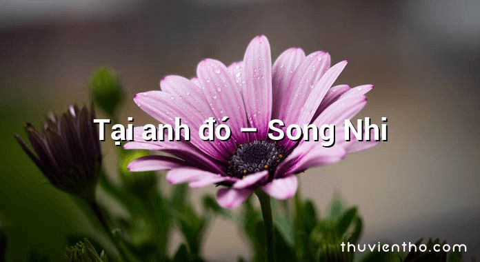Tại anh đó – Song Nhi