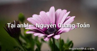 Tại anh! – Nguyễn Quang Toản