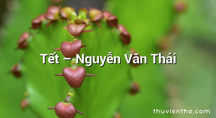 Tết – Nguyễn Văn Thái