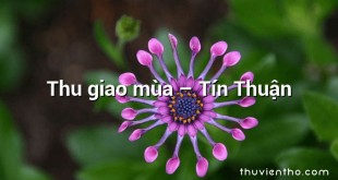 Thu giao mùa – Tín Thuận