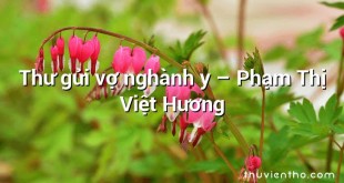 Thư gửi vợ nghành y – Phạm Thị Việt Hương