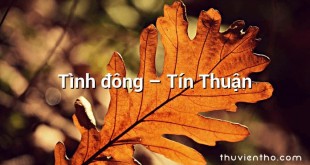 Tình đông – Tín Thuận