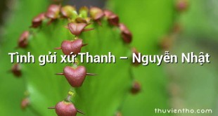Tình gửi xứ Thanh – Nguyễn Nhật