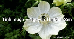 Tình muộn – Nguyễn Thị Bích Sen