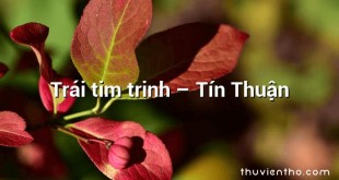 Trái tim trinh – Tín Thuận