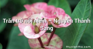 Trăn trở nỗi niềm – Nguyễn Thành Sáng