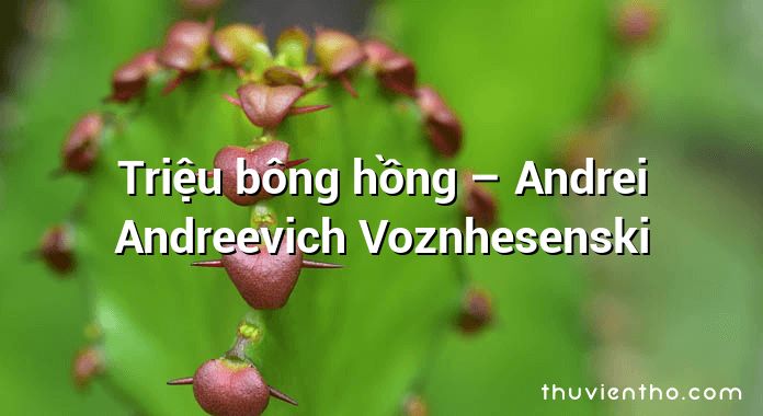 Triệu bông hồng – Andrei Andreevich Voznhesenski