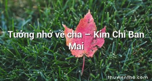 Tưởng nhớ về cha – Kim Chi Ban Mai