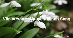 Vấn vương – Nguyễn Thành Sáng