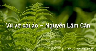 Vu vơ cái áo – Nguyễn Lâm Cẩn
