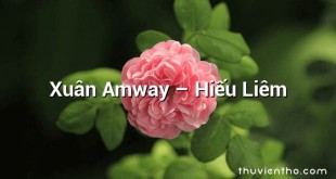 Xuân Amway – Hiếu Liêm