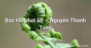 Bác Hồ phơi áo – Nguyễn Thanh Tùng