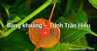 Bâng khuâng – Trịnh Trần Hiếu