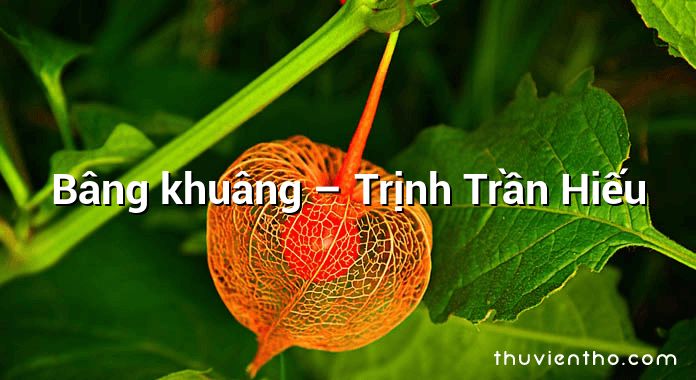 Bâng khuâng – Trịnh Trần Hiếu